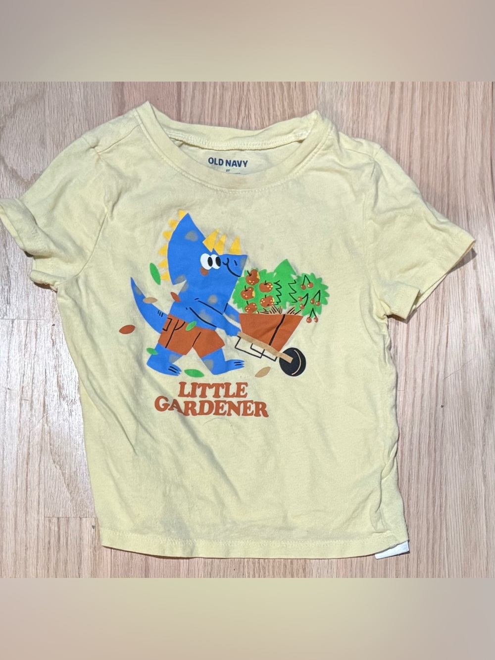 Old Navy Little Gardener Yellow Dinosaur Kids T-Shirt Tee Top 3t 3